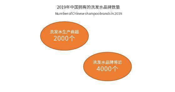 海外品牌赚钱生意经，探索与案例分析