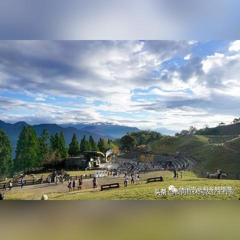 农村做什么农业最赚钱？看我一一揭秘！