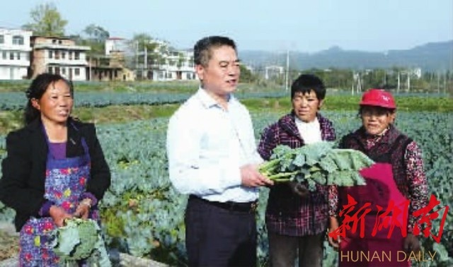 新化致富事迹概览，探寻成功的足迹