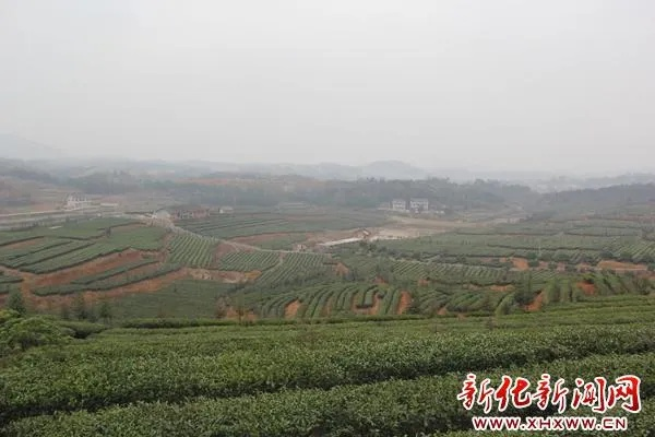 新化致富事迹概览，探寻成功的足迹