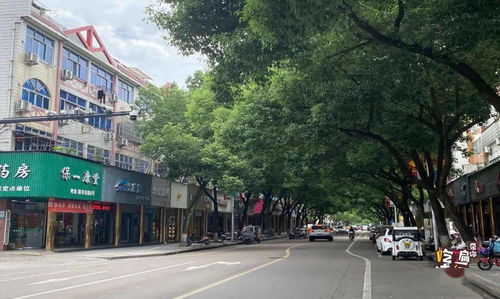 致富路所属街道探究，一路繁华的商业之旅