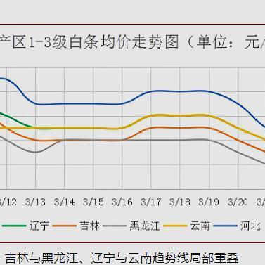 轻松购物，北京白条找商家兑现，让你的消费更便捷！