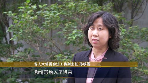 羊小咩便荔卡套出来如何安全—揭秘信用卡套现的风险与防范