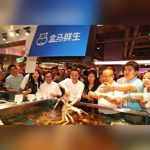 餐饮品牌公司成立流程指南