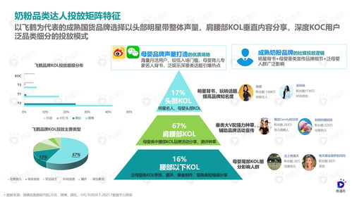 母婴销售品牌成功案例与策略解析