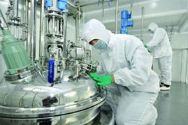 中国制造装修工具品牌，创新与品质的融合