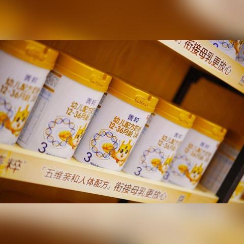 母婴品牌特点与市场策略解析