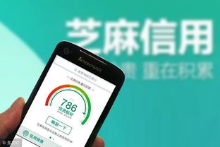 揭秘个人花呗取现额度，如何合理利用你的小金库