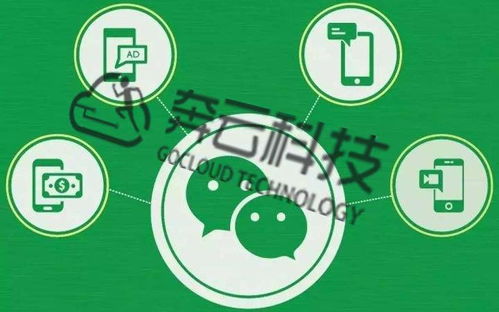 揭秘北京白条套出来可信商家，教你轻松辨别靠谱商家！
