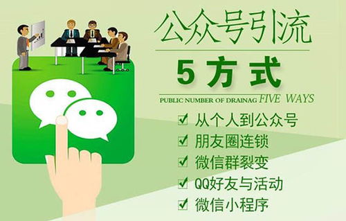 羊小咩便荔卡套出来，去哪找靠谱商家？攻略全解析！