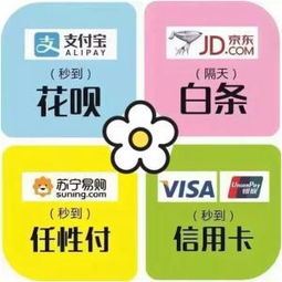 轻松搞定北京白条取现，提现攻略大揭秘！