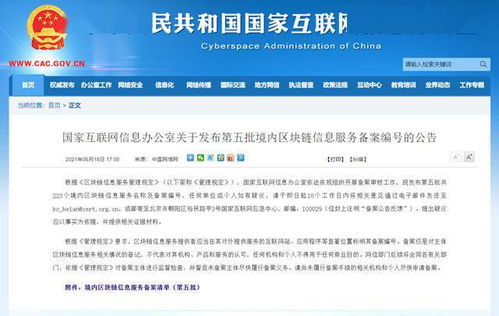 船长下海后能做什么工作赚钱？探索多元化职业路径与成功案例
