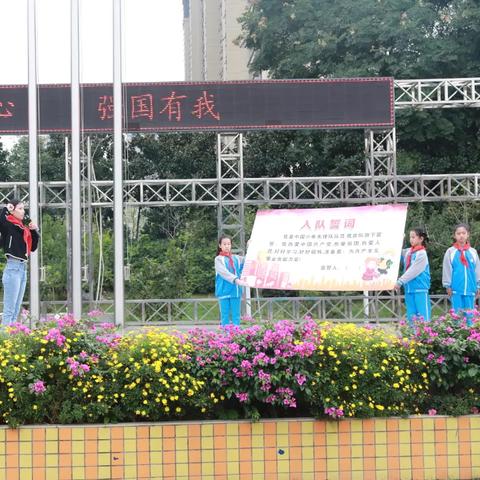 龙华微店放心花套出来的秘密大揭秘，实用指南与案例解析