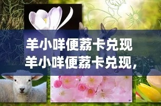 羊小咩便荔卡套出来取现，轻松开通攻略！