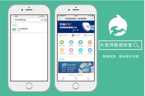 微信聊天记录大揭秘！教你轻松查看网页版微信的过往聊天