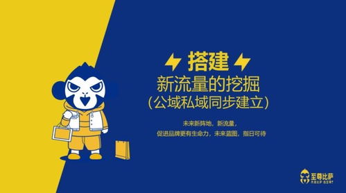 探索dtc母婴品牌的崛起之路