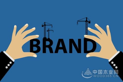 探索dtc母婴品牌的崛起之路