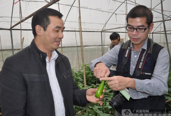 亲家在南宁的工作致富之路
