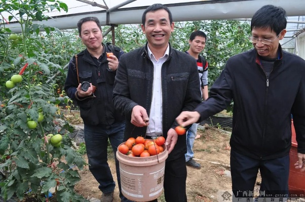 亲家在南宁的工作致富之路