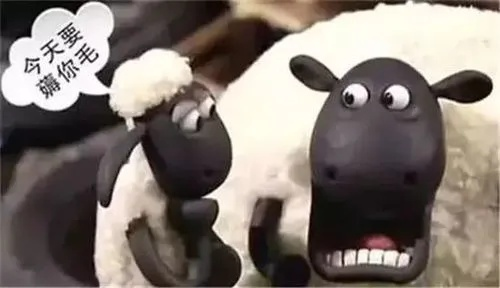 揭秘羊小咩便荔卡套出渠道大揭秘！快来一起看看吧！