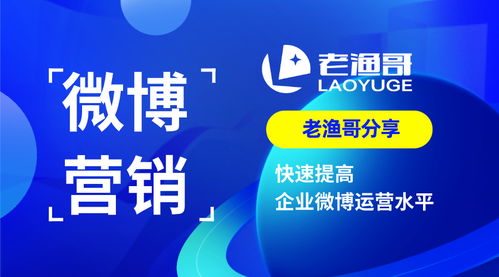 轻松掌握个人分期乐提现攻略，让你资金周转无忧！