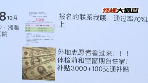 揭秘查开房记录在线查，真相、风险与应对之道