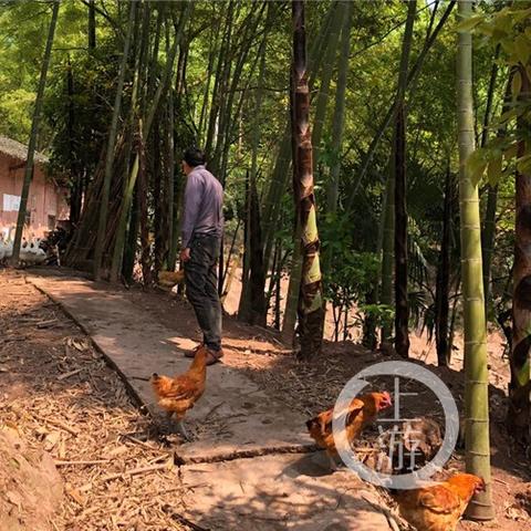 致富通贷款申请全攻略，你需要准备什么？