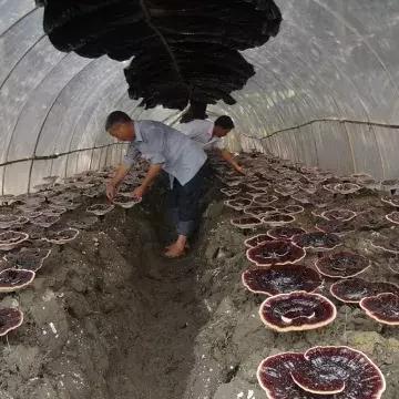 致富通贷款申请全攻略，你需要准备什么？