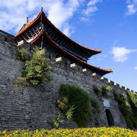 羊小咩便荔卡套出来，揭秘多种获取渠道！