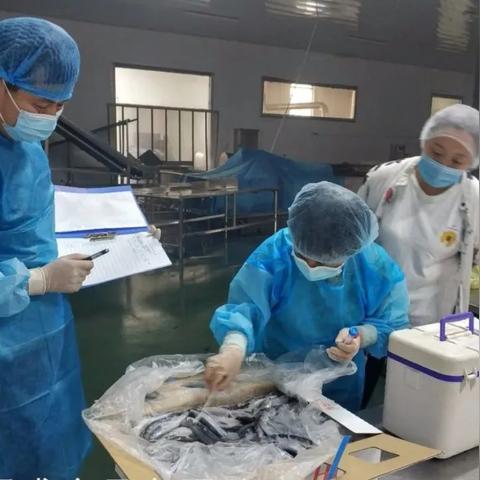 莒县警察查酒店记录查询，流程、规定与案例解析
