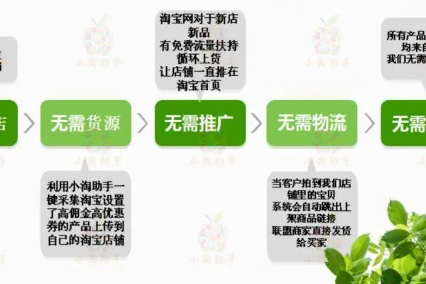 无货源网店创业项目深度解析