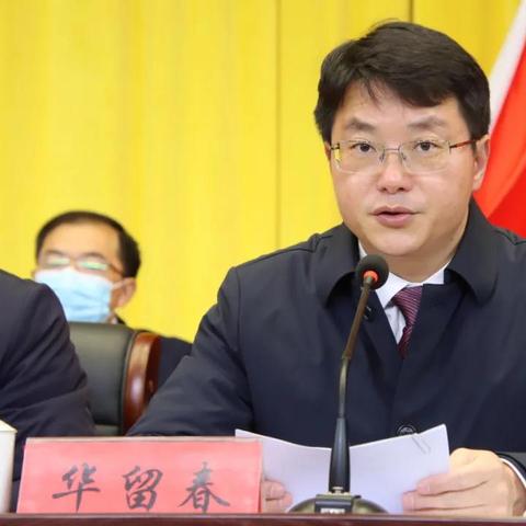 海安县创业项目全解析，从理论到实践的指南