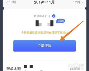 取消的京东白条提现功能深度解析