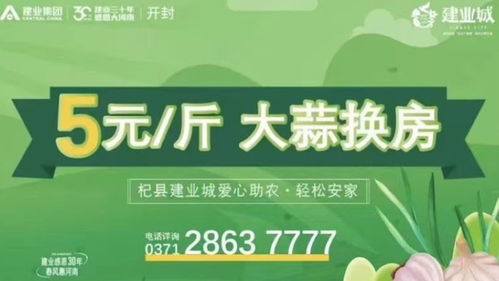 羊小咩便荔卡套出来青岛，一场别开生面的创意营销之旅