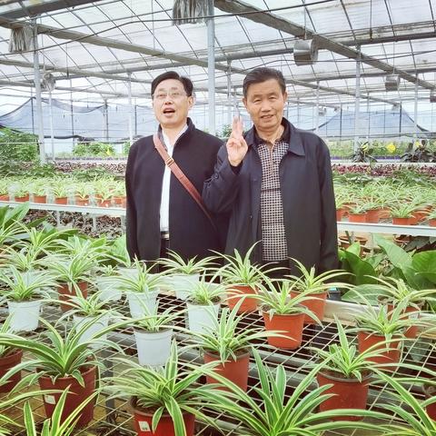 农民致富，探索最佳行业路径与成功案例
