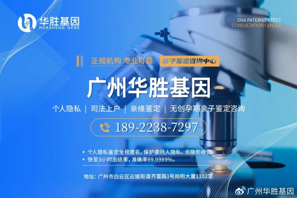 荔湾高端别墅装修品牌概览