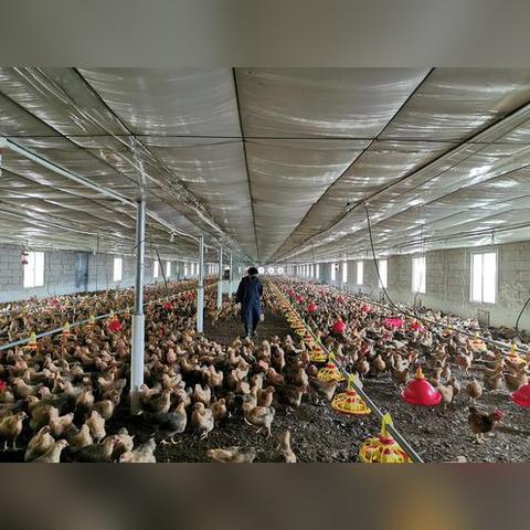 新厂房做什么生意赚钱？这几个项目值得一试！