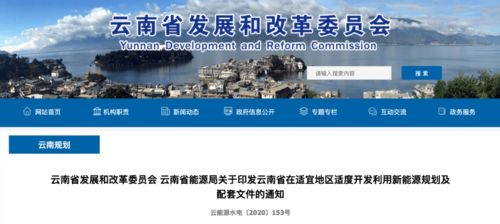 孟定地区创业项目选择指南，哪些行业适合发展？
