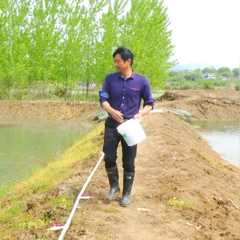 勤劳才能致富，深入解析其含义与实例
