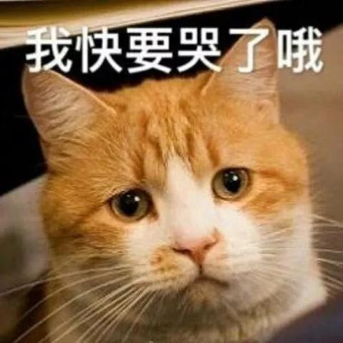 揭秘抖音月付提现手续费之谜，一文让你明明白白！