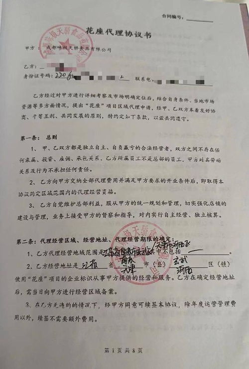 虚假宣传加盟怎么起诉他？全面指南与案例分析