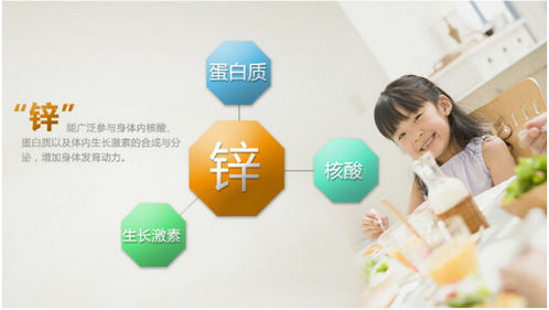 母婴品牌介绍—从摇篮到成长的每一步