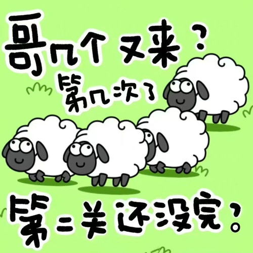 北京羊小咩便荔卡，轻松提现，让你的消费更便捷！