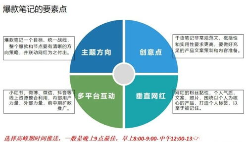 打造母婴品牌方案，策略、执行与案例分析