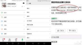 如何恢复被删除的历史聊天记录，实用技巧与案例分析