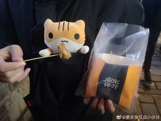 羊小咩便荔卡套出来南京，一场别开生面的城市探险之旅