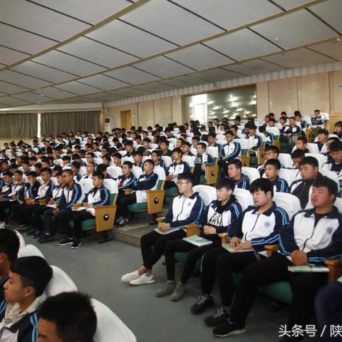 陕西厨房小家电电机品牌概览