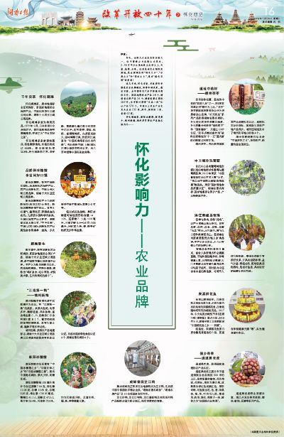 湖南怀化家居品牌发展概览