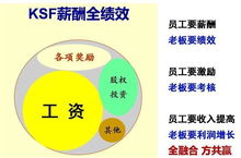 帮忙微店放心花套出来—实用指南与案例解析