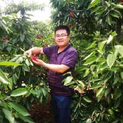 土地种什么容易致富？深度解析种植业的财富之路